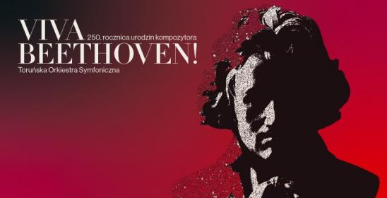 graphics of the festival Viva Beethoven! - the 250th anniversary of the composer's birth