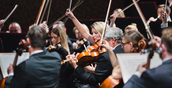 muzycy trzymający instrumenty smyczkowe i smyczki w rękach