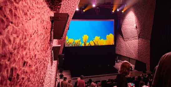 ekran przedstawiające żółte tulipany na tle niebieskiego nieba