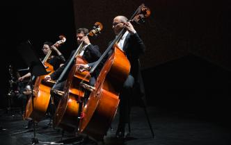 muzycy grający na kontrabasach