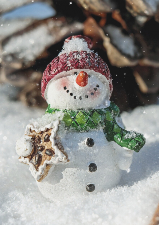 snowman in a green scarf and red cap
