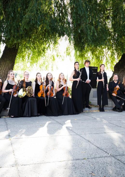 orchestra on the background of a tree